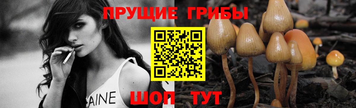 Галлюциногенные грибы мицелий  Вход с VPN  Кимры 